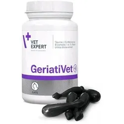 VET EXPERT GERIATIVET CAT - Unterstützungspräparat für ältere Katzen 60 Kapseln