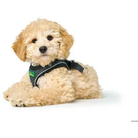 Hunter Hilo Comfort Hundegeschirr Anthrazit M-L