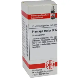 Plantago Major D12 10 G