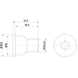 Schraube, Bremsscheibe TEXTAR TPM0005