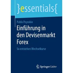 Einführung in den Devisenmarkt Forex