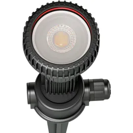 ledscom.de Gartenstrahler mit Erdspieß Kunststoff 39,0 cm inkl. GU10 LED 468lm warmweiß schwarz