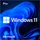 Microsoft Windows 11 Pro DVD DSP/SB EN
