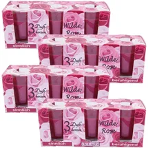 HS Candle Duftkerzen Classic 12er Pack Wilde Rose