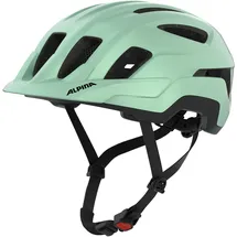 Alpina Paranus 55-59 cm grün matt 2025