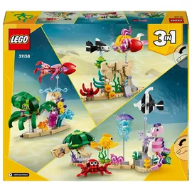 LEGO Creator 3in1 - Meerestiere 31158