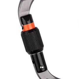 Mammut HMS-Karabiner Grau