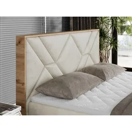 MKS Meble Boxspringbett 160x200 mit Bettkasten, Polsterbett 160x200 mit Matratze H3, Boxspringbett 160x200 mit Kopfteil, Boxspringbett mit Massivholz - Gunar... - Beige