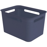 Rotho Box gross - blau