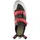 Red Chili Session Air Kletterschuhe (Größe 40