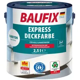 2in1 Express Deckfarbe  2,5 Liter Dunkelgrün