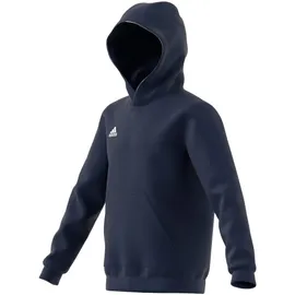 Adidas Entrada 22 Sweat Hoodie Kinder tenabl 116