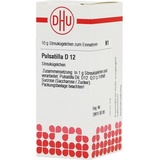 DHU-ARZNEIMITTEL PULSATILLA D12