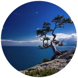 K&L Wall Art Vliestapete »Runde Vliestapete«, Baum am Meer blauer Himmel, mehrfarbig, matt - bunt