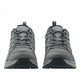Lowa Innox EVO II GTX Schuhe (Größe 41.5, grau)