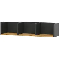 Vicco Wandregal Tomy 90 x 20 x 24 cm Anthrazit/Goldkraft Eiche