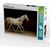 Calvendo Puzzle Pferde in Sonderfarben 2017 1000 Teile Lege-Größe