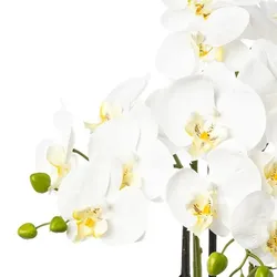 CREATIV green künstliche Pflanze Phalaenopsis, 83 cm