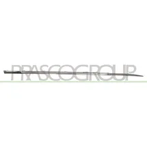 PRASCO Zier-/Schutzleiste Tür RN3291413