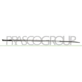 PRASCO Zier-/Schutzleiste Tür RN3291413