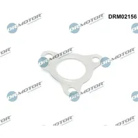 DR.MOTOR AUTOMOTIVE Dichtung, Lader DRM02156]