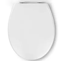 Toilettendeckel WC Sitz Mit Absenkautomatik Quick-Release Einfach Reinigung