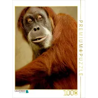 Calvendo Puzzle Neugieriger Affe 1000 Teile Lege-Größe 48 x
