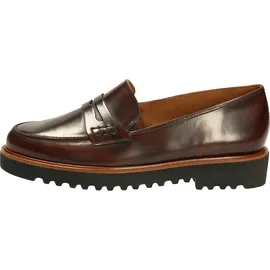Paul Green 5017 salsa 37,5
