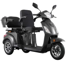 ECONELO E-Seniorenmobil Billy 2.0 3-Rad 1000 Watt Grau