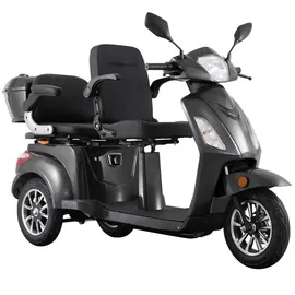 ECONELO E-Seniorenmobil Billy 2.0 3-Rad 1000 Watt Grau