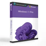 Microsoft Windows 11 Pro DVD IT