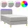 vidaXL Boxspringbett 100 x 200 cm Hellgrau