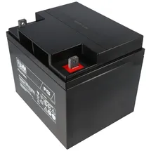 Fiam Fiamm FG24204 Akku 42Ah