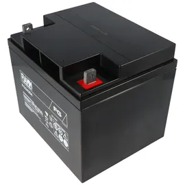 Fiam Fiamm FG24204 Akku 42Ah