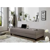 Gästebett MAINTAL, grau (taupe, schwarz), Struktur Holzwerkstoff, Liegefläche B/L: 90cm x 200cm, 5-Zonen-Tonnentaschen-Federkernmatratze, Faltbetten, Gästebett, mit Bettkasten