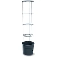 Prosperplast Tomato Grower Ø 39,2 x 31,5 cm Grau/Rot