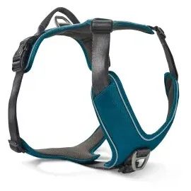 Wolters Active Pro Comfort Hundegeschirr Petrol/Anthrazit XS