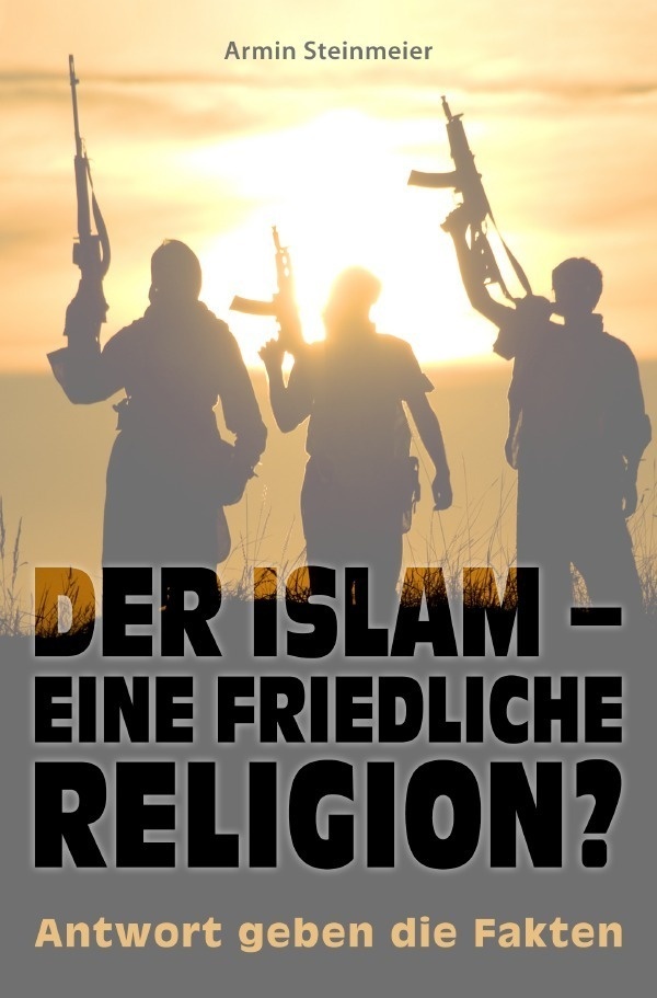 Der Islam - Eine Friedliche Religion? - Armin Steinmeier  Kartoniert (TB)