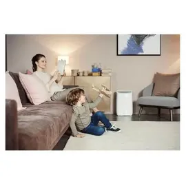 De'Longhi DEX212SF Luftentfeuchter