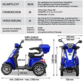 Rolektro E-Quad 25 V.2 1000 Watt 25 km/h blau