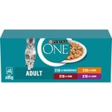 Purina ONE Adult Katzenbeutel MIX-Geschmacksrichtungen in Sauce 40x85g (Rabatt für Stammkunden 3%)