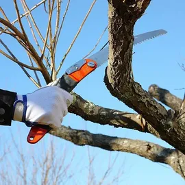 Silky Ultra Accel Curve 240-7,5 grob (446-24)