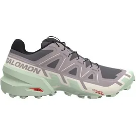 Salomon Speedcross 6 Damen Castle Rock/Vanilla Ice/Smoke Green 42