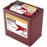 Trojan T-105 AES 6V 207Ah (C20) Deep Cycle Blei-AGM Traktionsbatterie M8-Anschluss