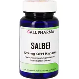 Hecht Pharma Salbei 120 mg GPH Kapseln