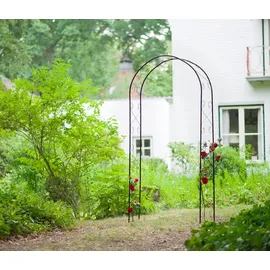 Versele-Laga Nature Rosenbogen Metall 100x37x230 cm Schwarz