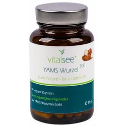 Vitalsee YAMS Wurzel 300 Extrakt 90 St