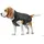 Hunter Tampere Hundemantel Schwarz 25
