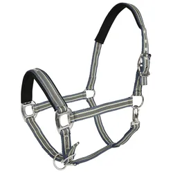 Equinate Halfter Oakley doppelt verstellbar mit Polsterung Pony Blau-Silber
