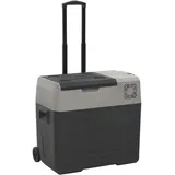 vidaXL Kühlbox mit Rollen und Griff Schwarz & Grau 50 L Polypropylen